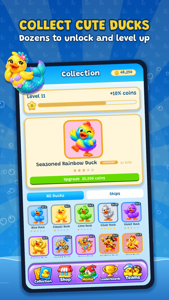 The duck collection